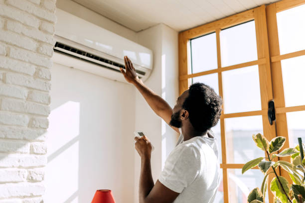 Best Air Filters and Purifiers in Newton, IL